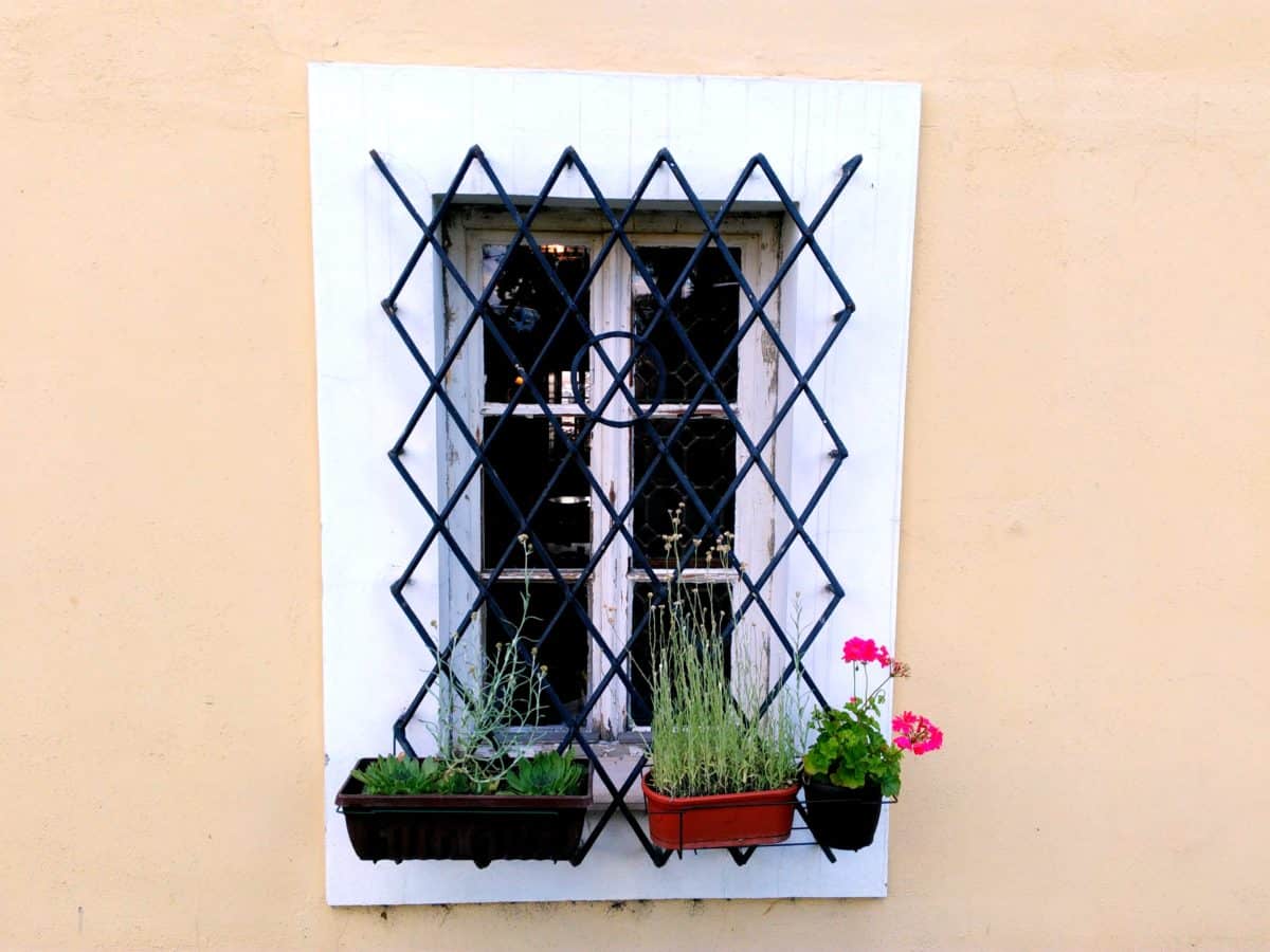 huis, architectuur, venster, muur, oude, bloem, gietijzer, metaal, veiligheid