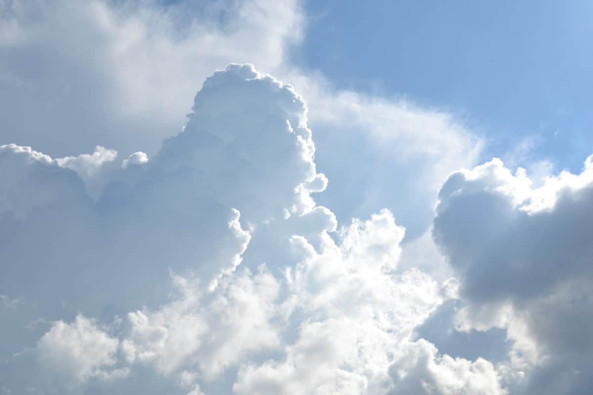 自然、雲、太陽、天、夏、青い空、大気、空気、曇り