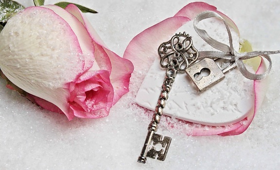 Rose, kronblad, kjærlighet, smykker, nøkkel, metall, anlegg, romantikk