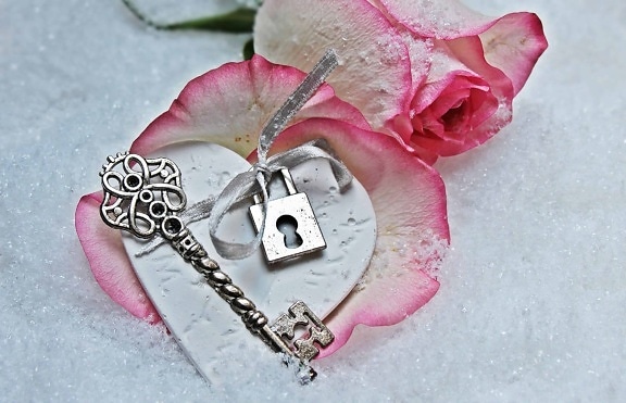 浪漫, 红玫瑰, 钥匙, 挂锁, 花, 花瓣, 爱
