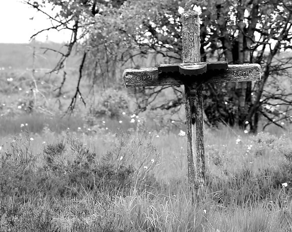 kříž, černobílý tisk, strom, tráva, hřbitov, dřevo, příroda