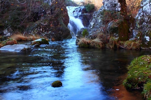 Stream, river, luonto, vesi, maisema, ulkoilu, ekologia, metsä, mountain
