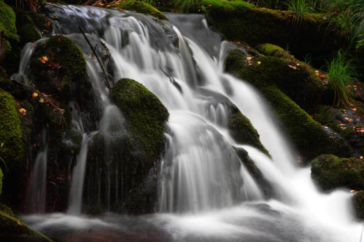 acqua, muschio, flusso, natura, cascata, fotografia, legno, fiume