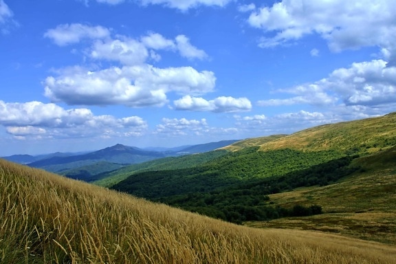 hilltop, nature, landscape, blue sky, daylight, outdoor, grass, mountain