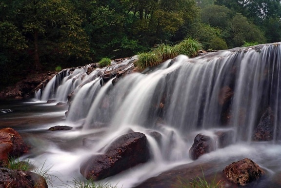 木材, 河流, 自然, 瀑布, 溪流, 叶子, 水, 湿