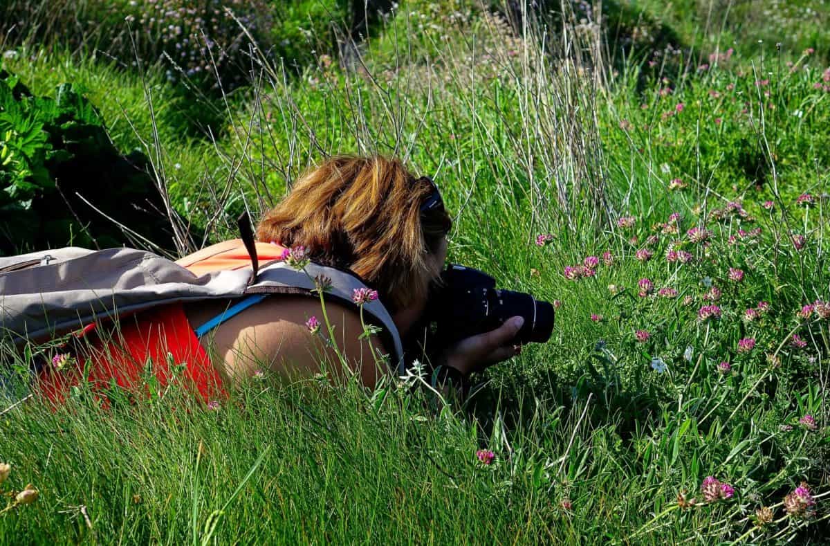 ung kvinne, fotograf, sommer, feltet, natur, gress, eng, utendørs