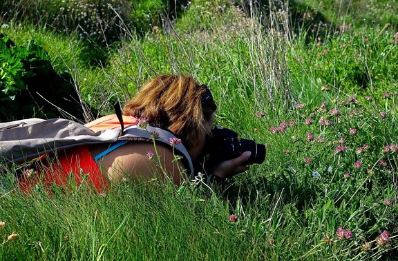 年轻女子, 摄影师, 夏天, 田野, 自然, 草, 草甸, 户外