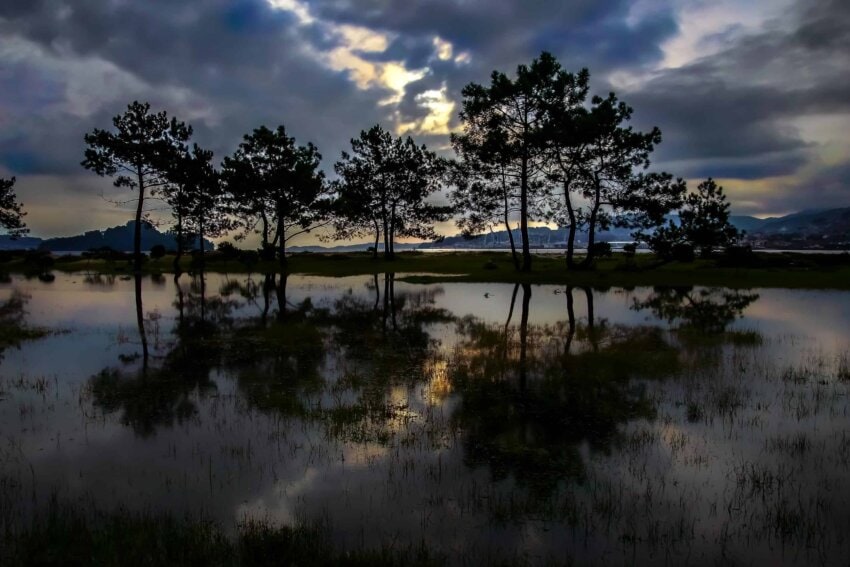 Kostenlose Bild: Insel, Dawn, Wasser, Sonnenuntergang, Baum, Reflexion, See, Landschaft, Natur