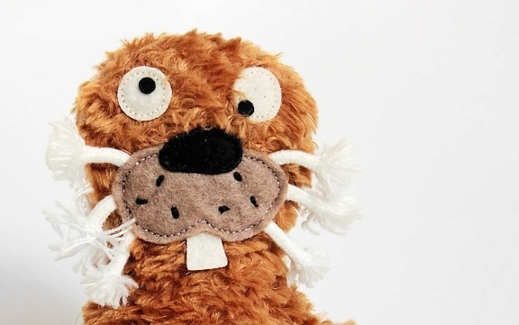 oso de peluche, juguete de la felpa, infantil, decoración, objeto, marrón
