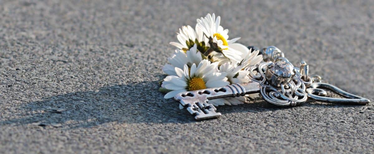 stín na beton, květina, klíč, rostlina, petal, kovové