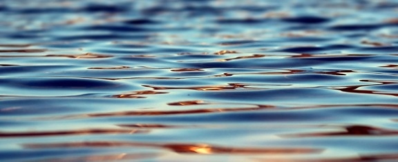 물, 젖은, 반사, 바다, 햇빛, 수평선, 파랑, 파