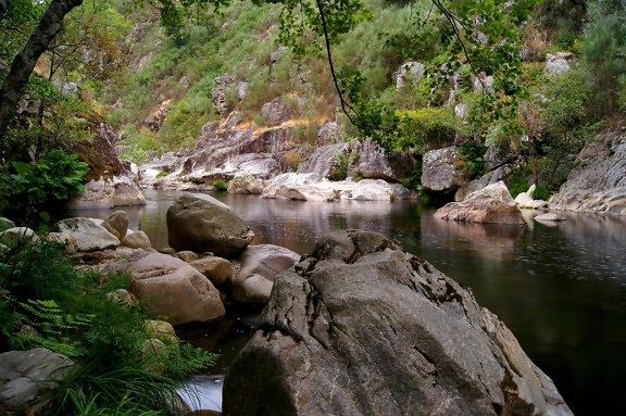 Cachoeira, Rio, água, madeira, paisagem, fluxo, natureza