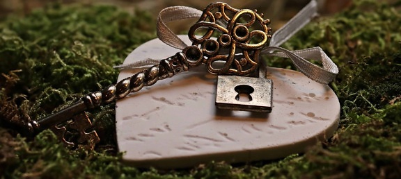 心, 金属, 钥匙, 苔藓, 浪漫, 挂锁