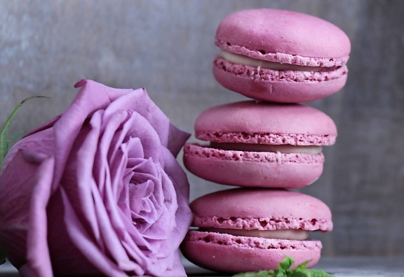 цветок, Роза, торт, сладкий, розовый, десерт, малина, украшение