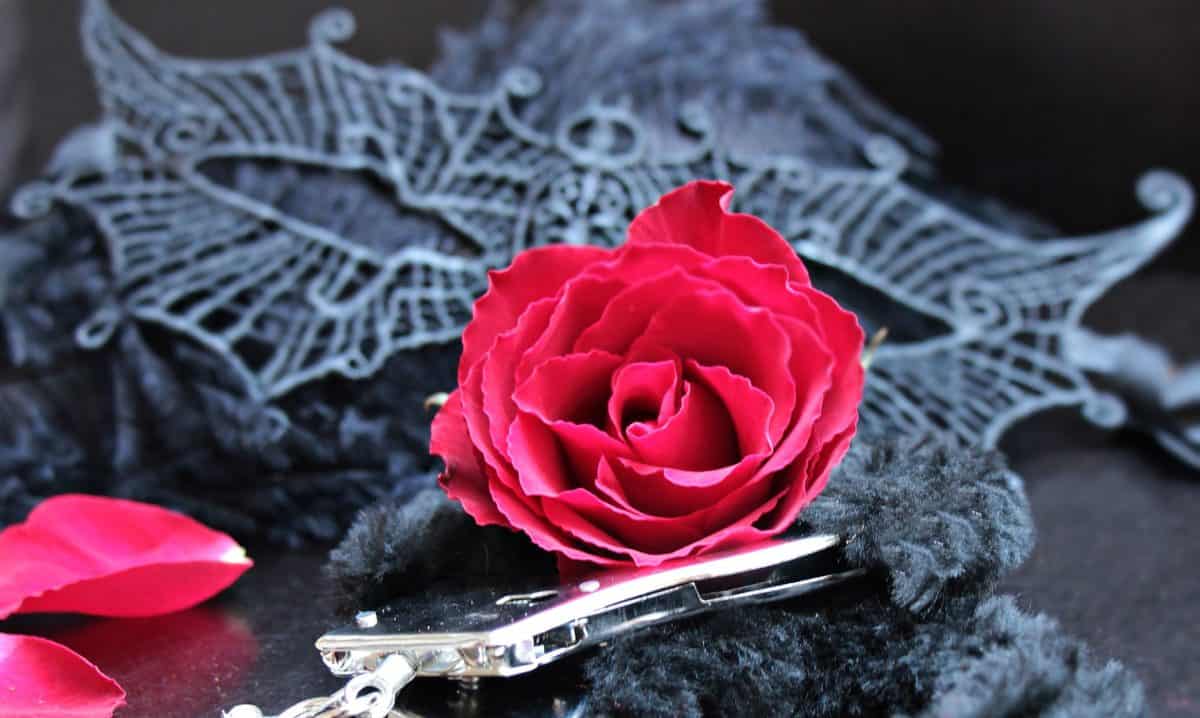 цвете, роза, черен, маска, кожа, метал, белезници, романтика