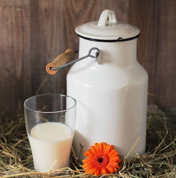 Фото студио, напитка, чаша, мляко, храна, сено, цветя, биологично мляко