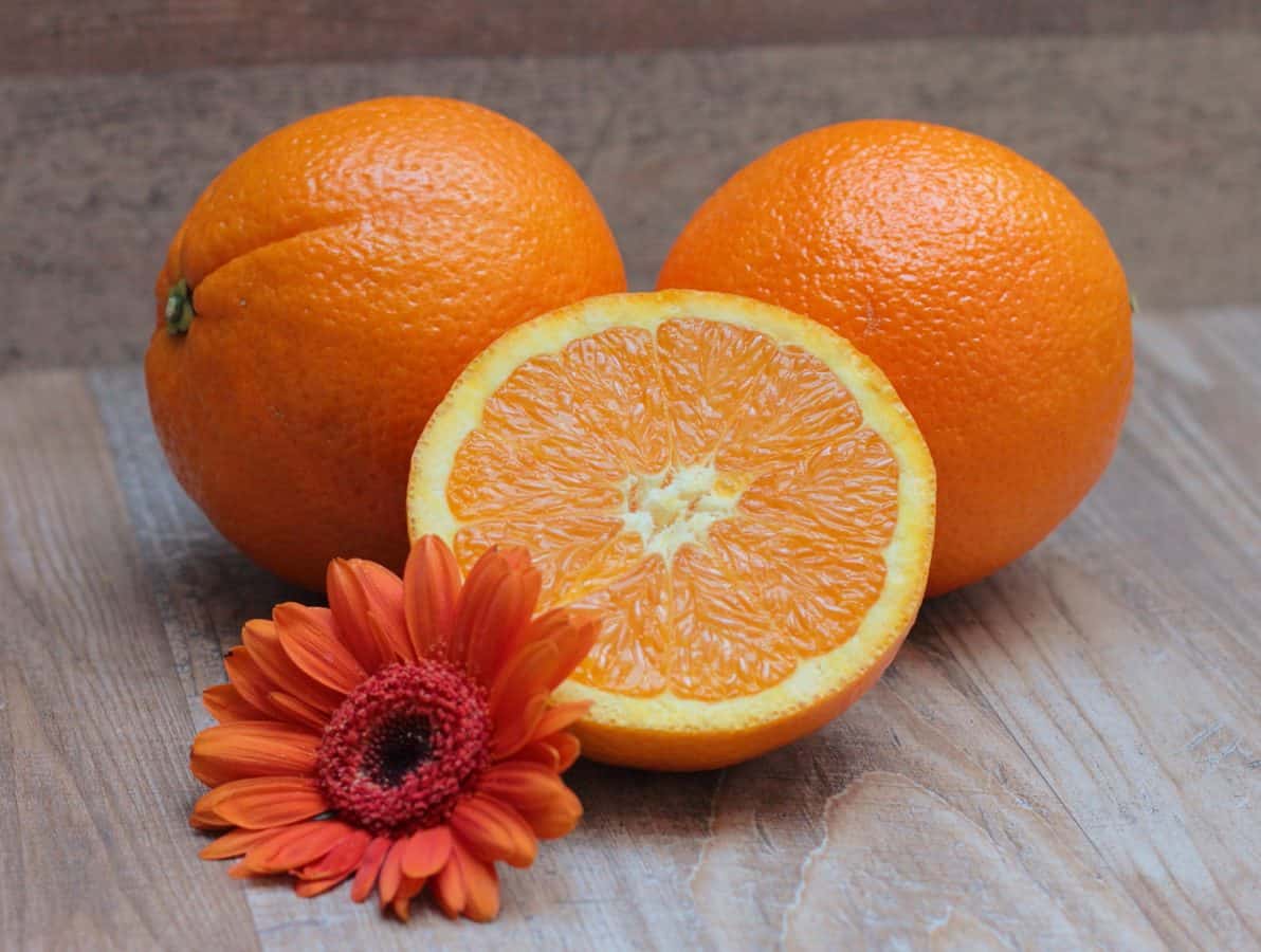 stilleben, citrus, blommor, mat, frukt, vitamin, mandarin, tangerin, juice