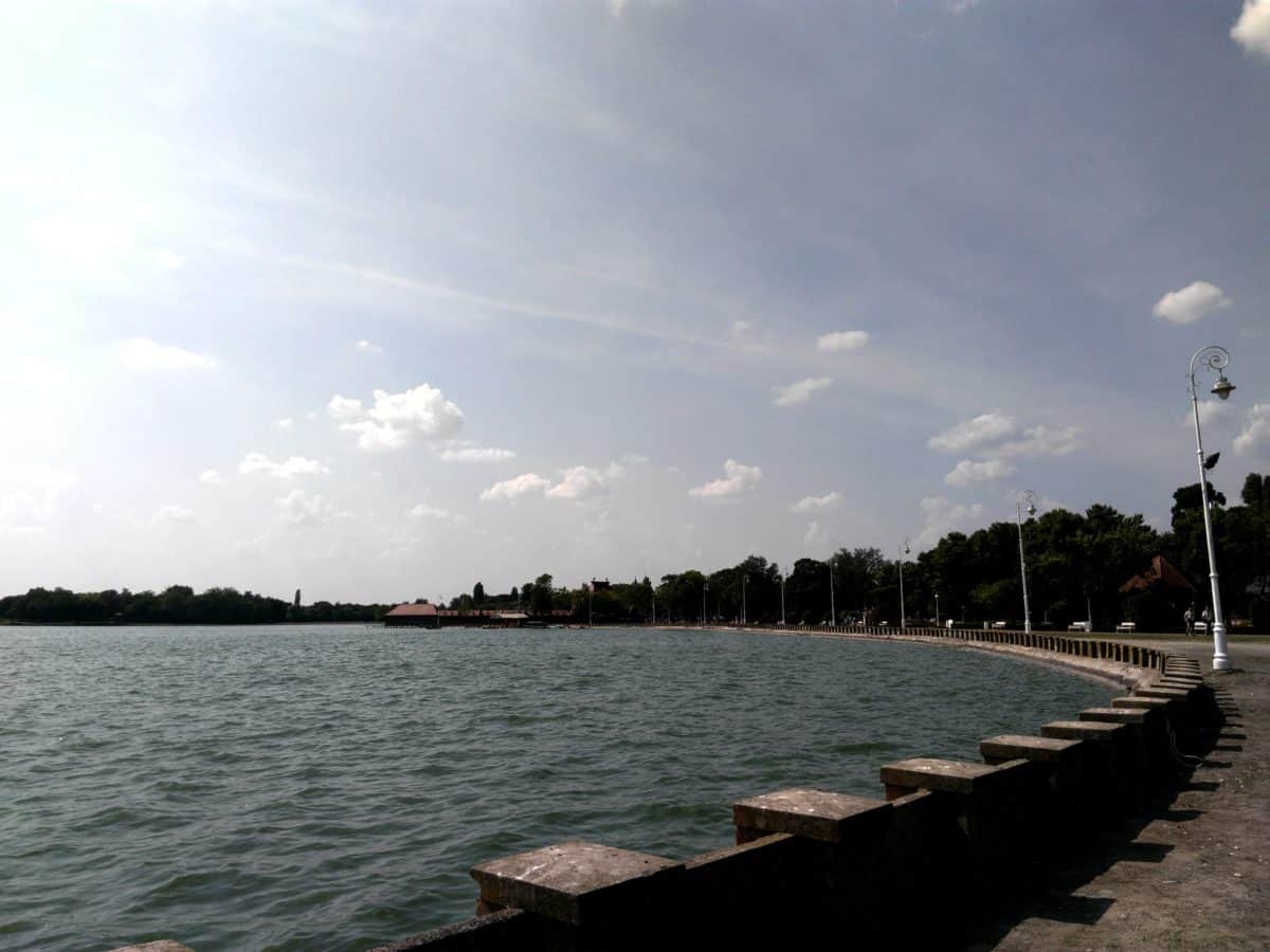 motomarine, eau, lac Palić, arbre, rive, au bord du lac, ciel bleu