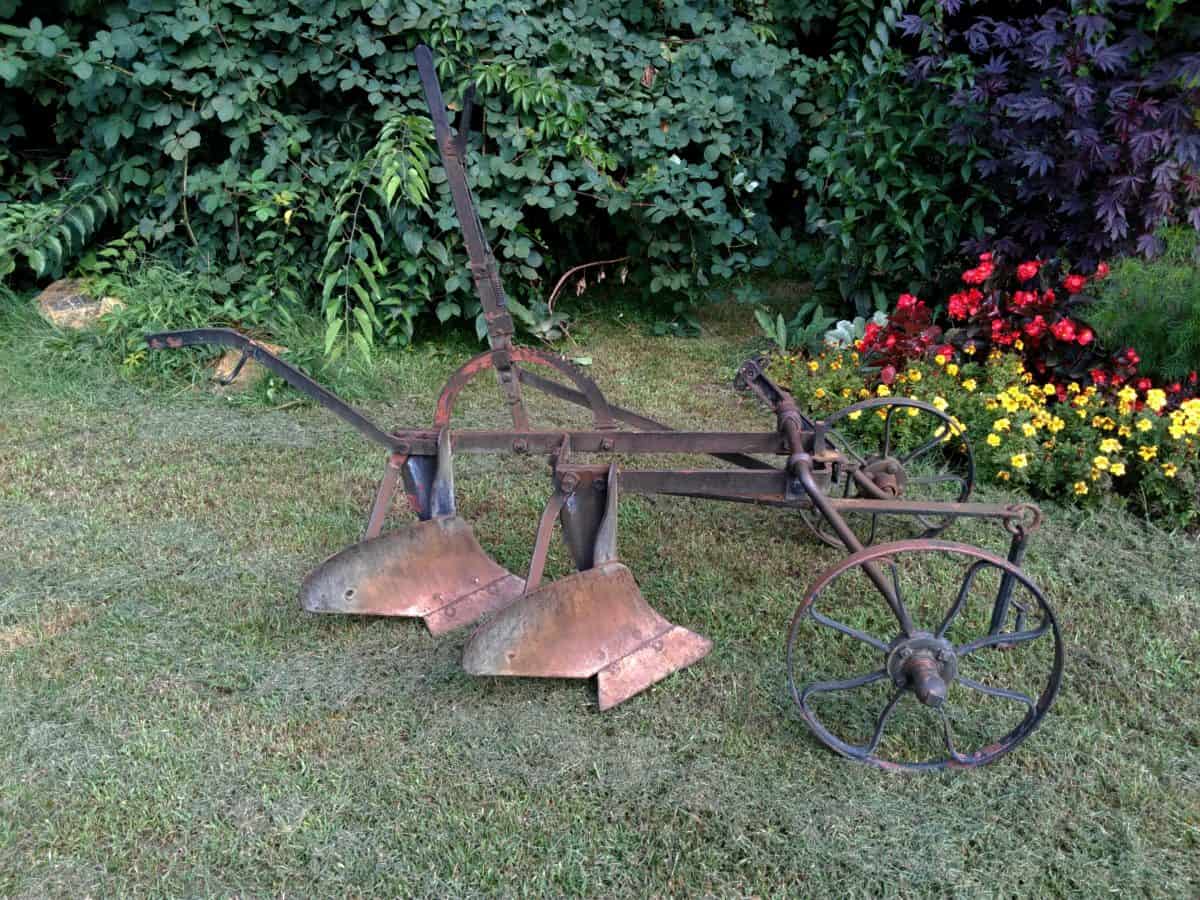 material, old, cast iron, wood, leaf, tree, flower, garden, nature, grass, tool, outdoor