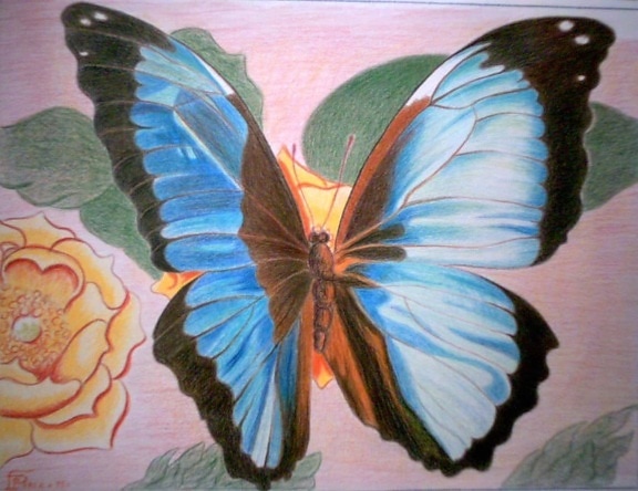 Картина маслом, насекомое, искусство, биология, Бабочка, природа, цветок