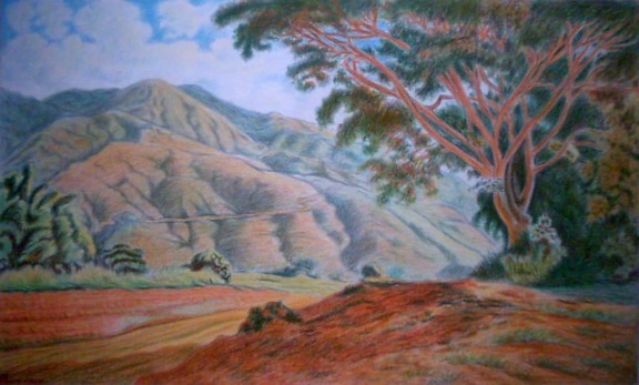 дерево, Oil Painting, краєвид, Каньйон, Долина, Гора, пустеля, Рим, небо