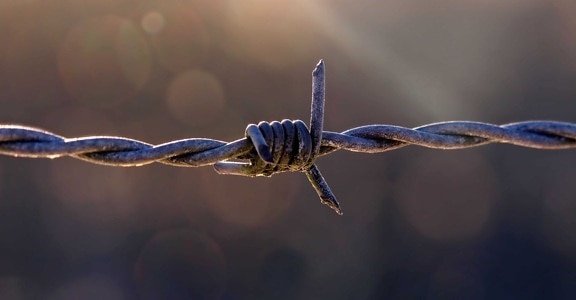 barbed wire, metal, steel, wire, barbed, rust, fence