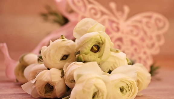 Rose, csendélet, fehér, csokor, növény, virág, szirom