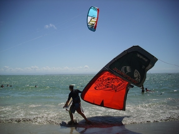 Windsurfing, atlet, sport, litoral, ocean, mare, apă, plajă, echipamente