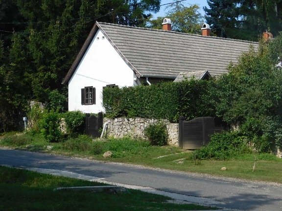 hus, Ungarn, Village, Street, countryside, Road, Home, Tree, utendørs, Grass