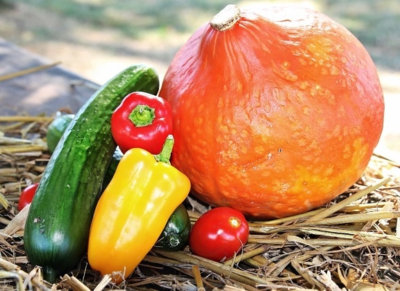 Blatt, Lebensmittel, Gemüse, Kürbis, Paprika, Tomaten, Obst, Vegetarier