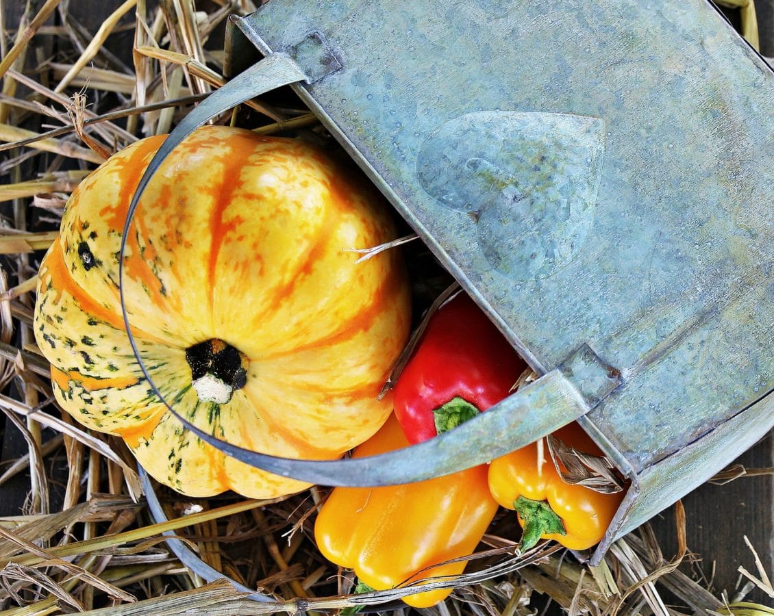 list, jídlo, dýně, zelenina, podzim, paprika, taška, podzim