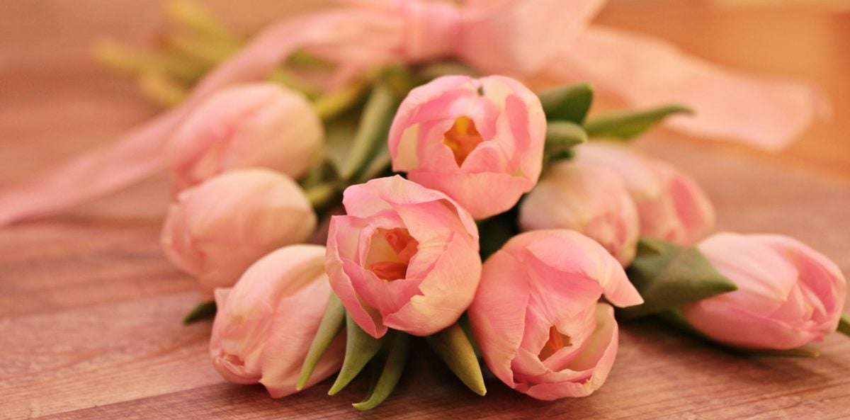 bunga pink rose, karangan bunga, kelopak, tulip, indoor