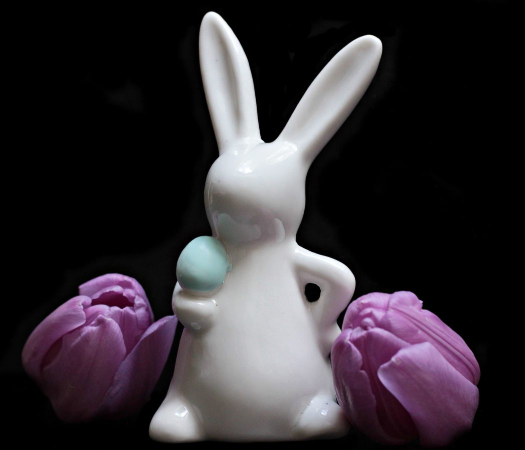 Easter Rabbit, Hoa, cánh hoa, Tulip, trang trí, Hồng