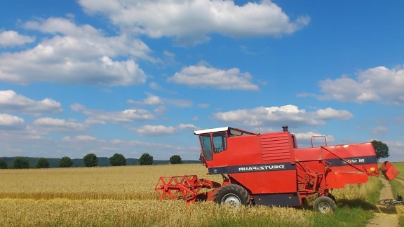 campo, agricultura, campo, cereal, máquina, vehículo, cielo azul, campo