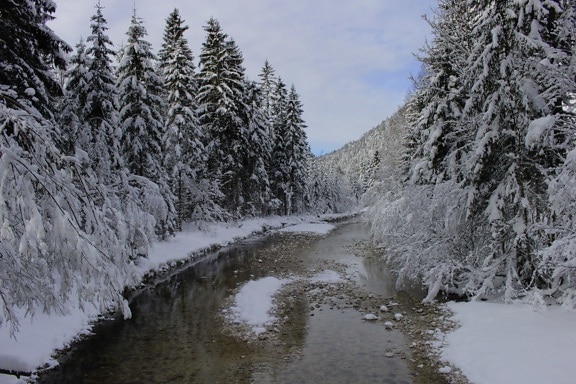 zima, mráz, sneh, drevo, rieka, mrazené, studené, ľad, strom, krajina