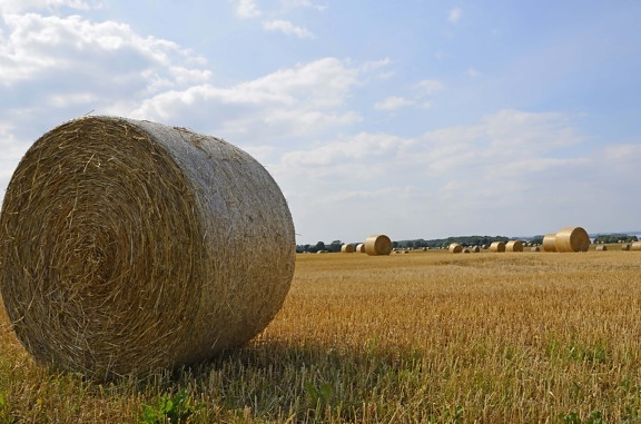 countryside, cereal, field, haystack, blue sky, landscape, straw, agriculture
