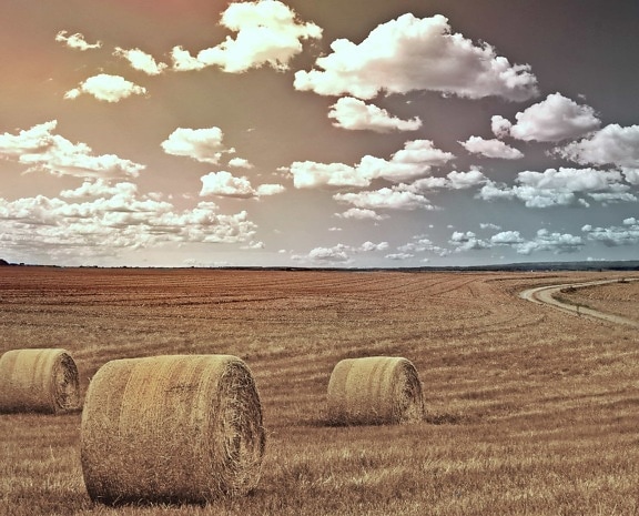 haystack, countryside, straw, summer, agriculture, field, landscape