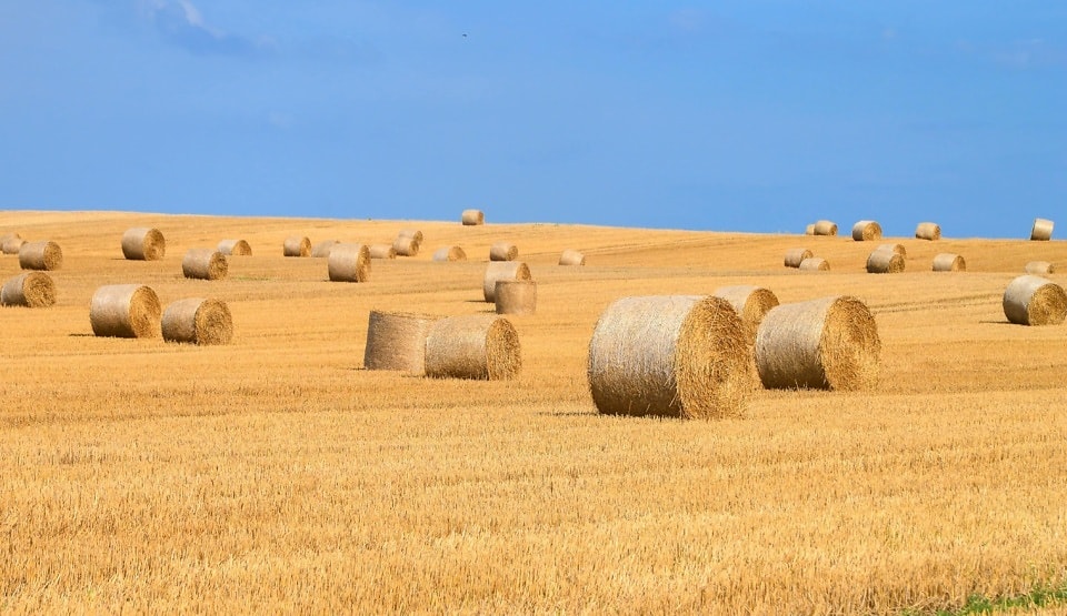 Free picture: countryside, dry, agriculture, straw, field, haystack ...