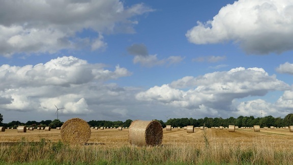 halm, blå himmel, Haystack, landskap, landskap, jordbruksareal, jordbruk
