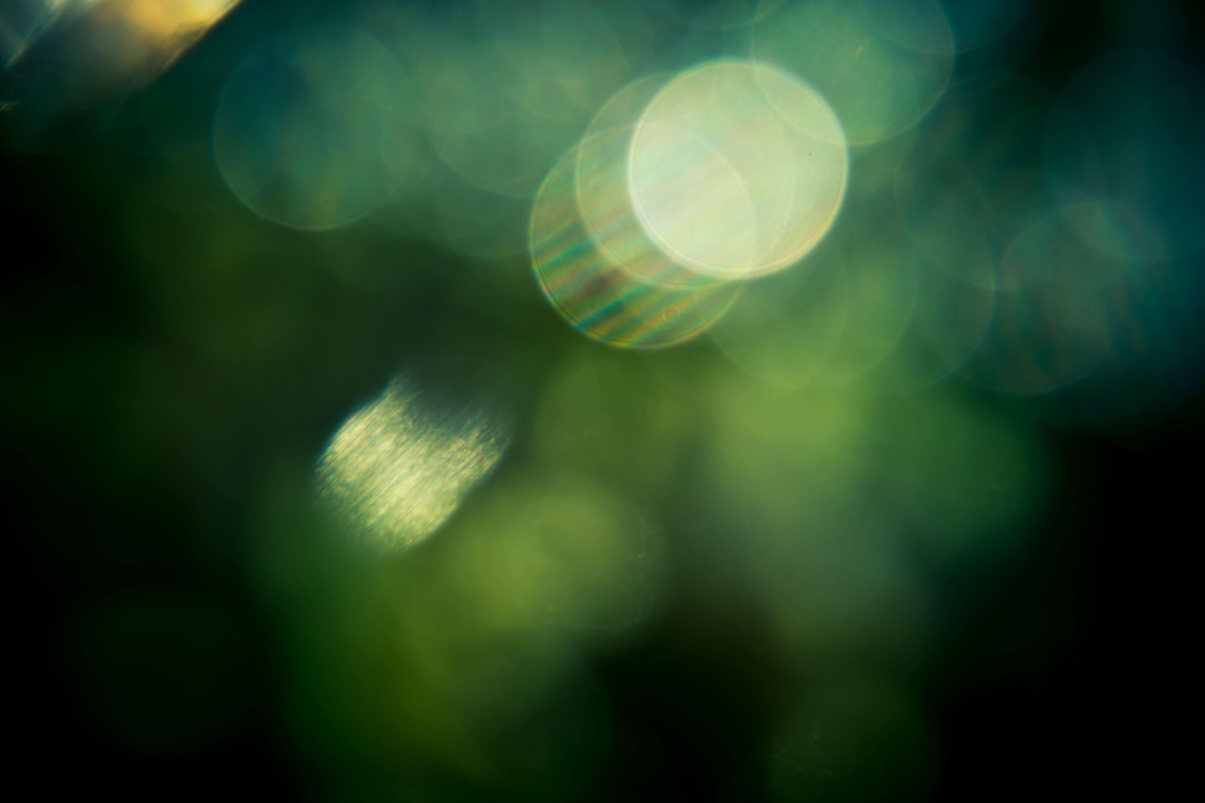 フリー写真画像 抽象的な 暗闇 光 緑 反射 影 照明