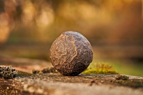 φύση, μπάλα, πέτρα, φύση, βρύα, υφή