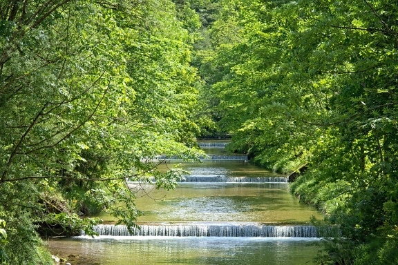 joki, puu, kesä, luonto, vesi, lehti, puu, maisema