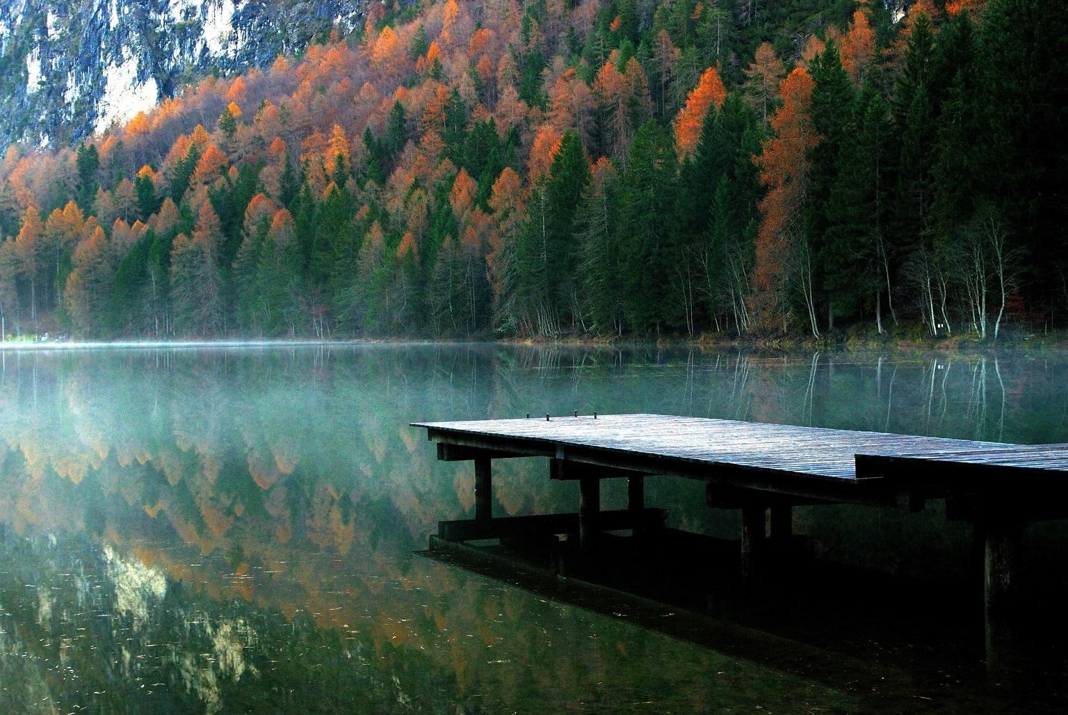Вид на лес и озеро