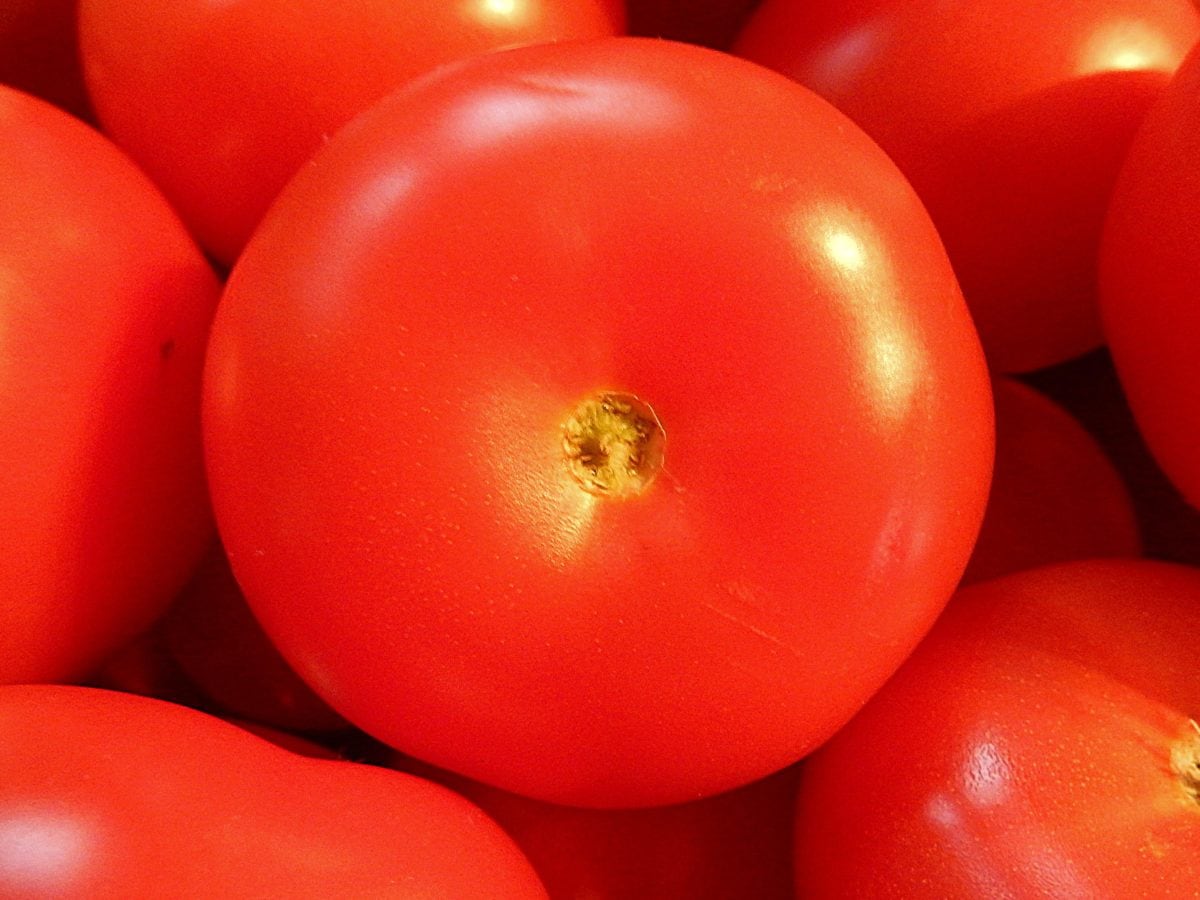 kırmızı domates, beslenme, gıda, organik, sebze, diyet, vitamin, salata