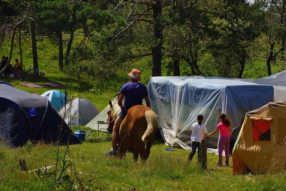 people, grass, tent, shelter, horse, tree, outdoor, event