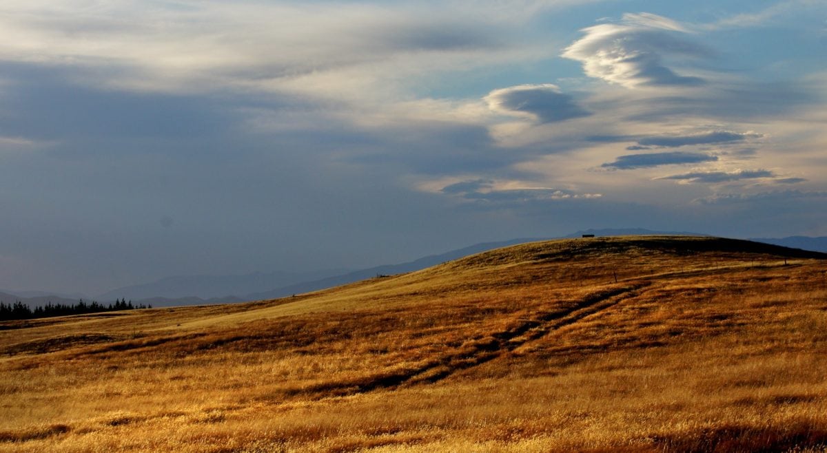 landscape, hill, blue sky, steppe, land, field, grass, summer, agriculture