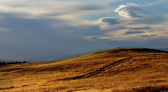 landscape, hill, blue sky, steppe, land, field, grass, summer, agriculture
