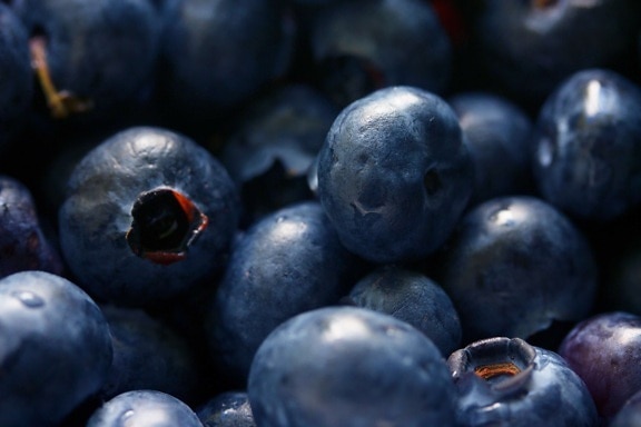 blueberry, food, fruit, berry, sweet, diet, shadow, organic, delicious