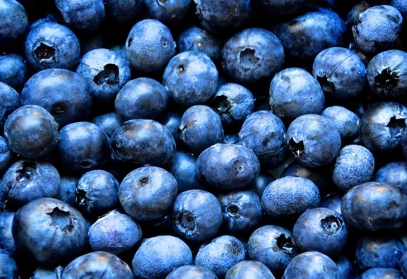 berry, food, fruit, antioxidant, blueberry, detail, organic, vitamin