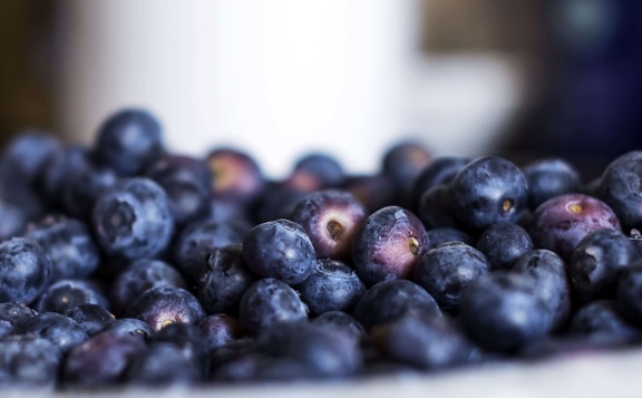 food, blueberry, berry, fruit, sweet, diet, indoor